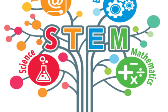 Hoạt động trải nghiệm STEM